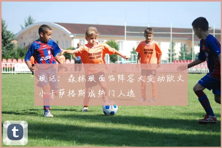 狼记：森林狼面临阵容大变动欧文小卡萨格斯成热门人选